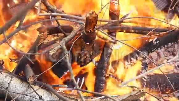用木头和腿烧火视频的预览图