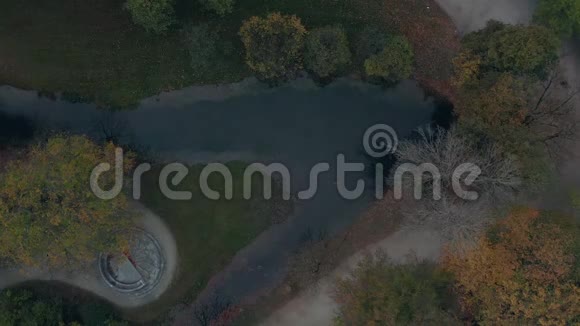 慕尼黑英国花园的一架无人驾驶飞机在五彩缤纷的秋天骑自行车作了一个短暂的垂直景观视频的预览图