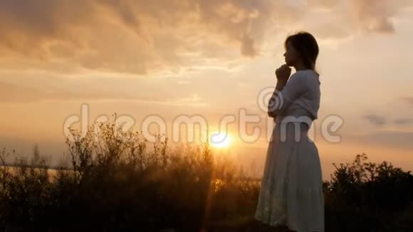 日落时分年轻女子向上帝祈祷的剪影女孩双手交叉在田野的下巴上宗教的概念视频的预览图
