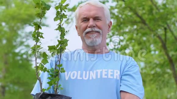 微笑老年男性志愿者持树苗保护自然保护生态视频的预览图