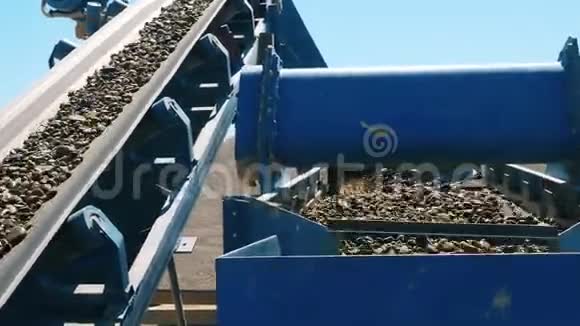 大石头进入粉碎机矿业概念视频的预览图