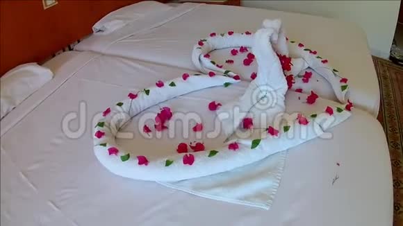 在酒店心和天鹅用带粉红色花朵的毛巾做的视频的预览图