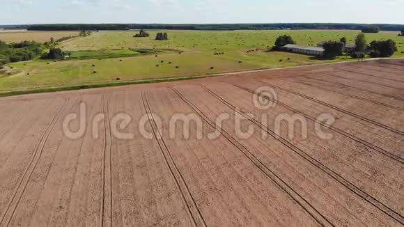俄罗斯的田野空中观景视频的预览图