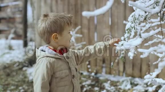 可爱的小男孩在雪地公园户外玩得很开心滑稽儿童摇动雪枝高清的肖像视频的预览图