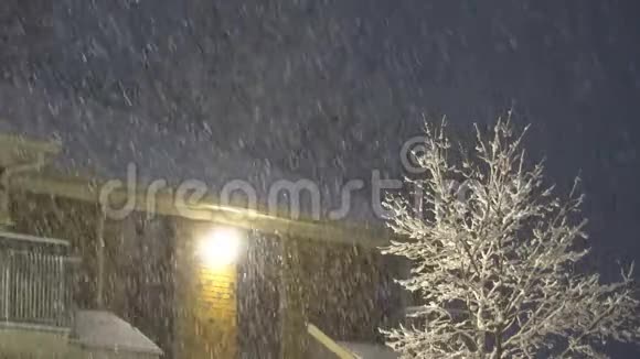 夜的小区大雪视频的预览图