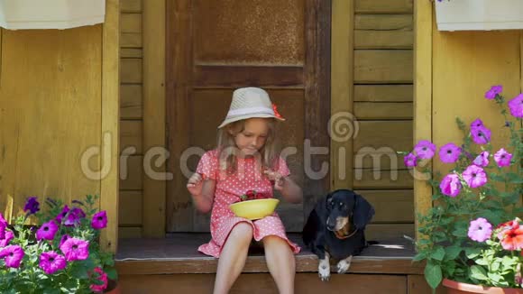 小女孩和狗一起吃新鲜草莓视频的预览图