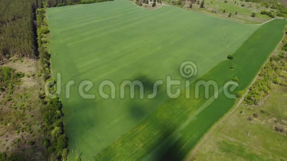 风景优美的空中无人机观翠绿色农业田俯视牧场草甸景观大米视频的预览图