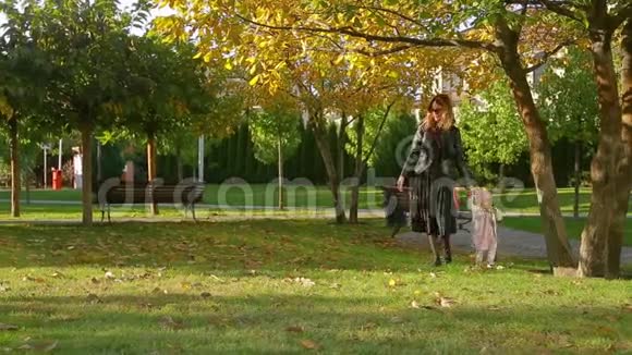 母亲和可爱的小女儿一起走在画城公园秋天的草坪上树和落叶视频的预览图