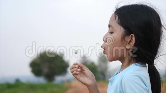 可爱的亚洲小女孩吹着风快乐地吹干草甸花视频的预览图