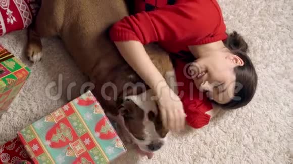 可爱的女孩在圣诞树下扮演可爱有趣的牛头犬小狗玩圣诞玩具很可爱圣诞节视频的预览图
