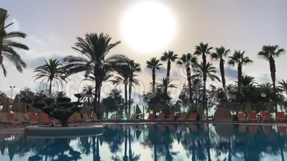 晨曦透过棕榈树照在池子上视频的预览图