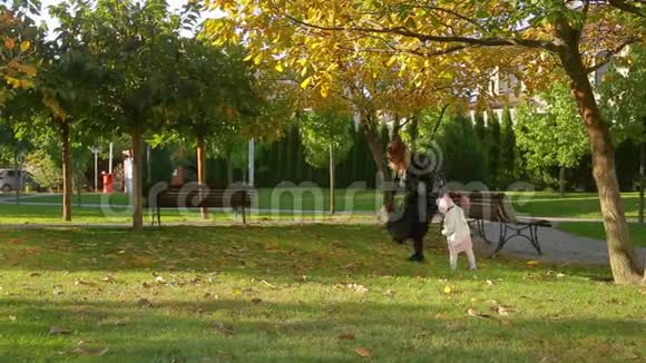 母亲和可爱的小女儿一起走在画城公园秋天的草坪上树和落叶视频的预览图
