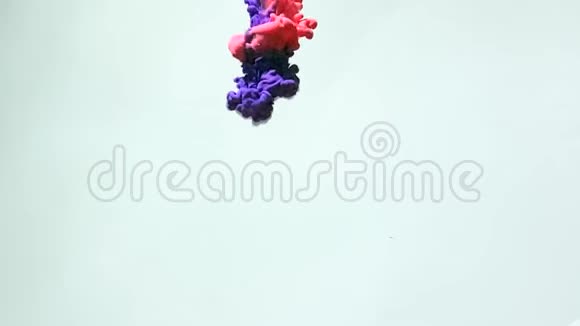 抽象背景时尚的背景红色墨水和紫色水彩墨水在水中旋转得很漂亮视频的预览图