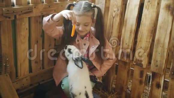 小女孩在宠物动物园里快乐地给兔子喂胡萝卜视频的预览图