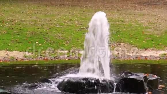 花园和公园装饰喷水池喷洒一大束水视频的预览图