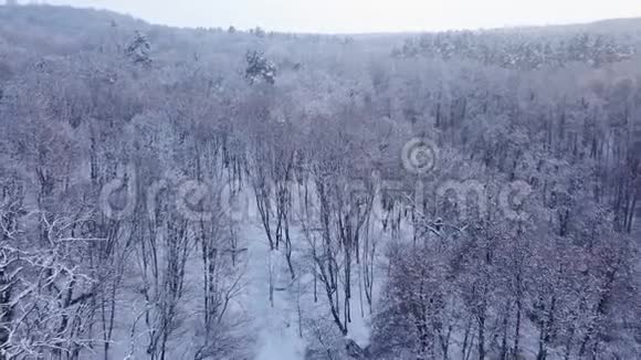 冬天的一天在多云的天空下覆盖着雪4K视频240fps2160p视频的预览图