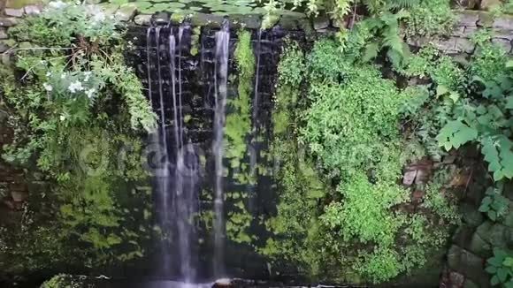 热带花园中的大瀑布自然建筑宁静的背景视频视频的预览图