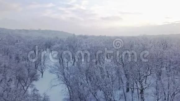 在多云的天空下观看冬季公园的景观4K视频240fps2160p视频的预览图