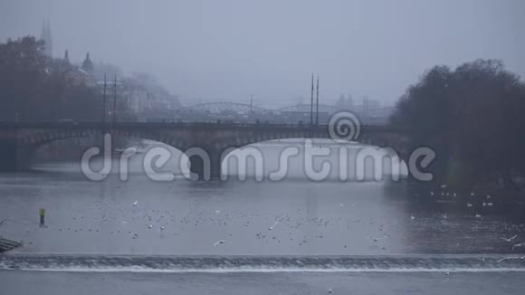 从桥上看布拉格莫尔达瓦上的布拉格桥交通便利视频的预览图