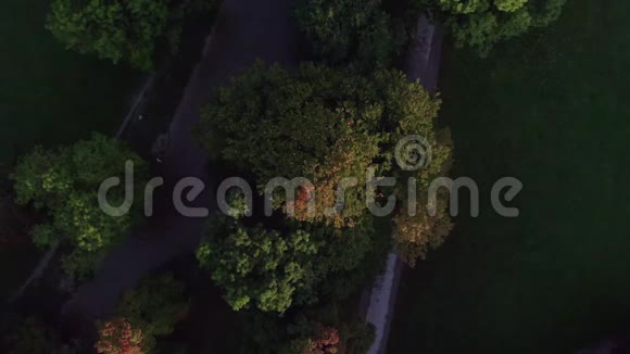 从一架无人驾驶飞机从一棵彩色美丽的树到慕尼黑的天际线上的一个闪光视频的预览图