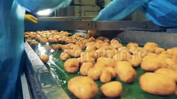 人们在一家食品厂工作切干净的土豆视频的预览图