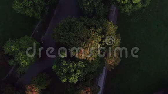 从一架无人驾驶飞机从一棵彩色美丽的树到慕尼黑的天际线上的一个闪光视频的预览图