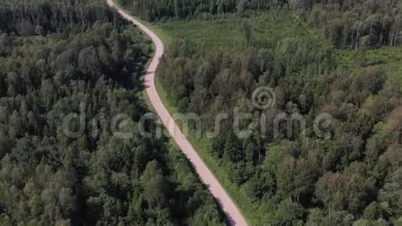 夏季森林和砾石路弯道空中视频的预览图