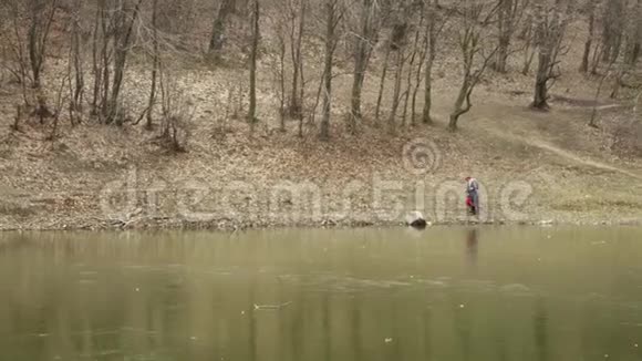 带着红帽子的年轻漂亮女子在冰冻的湖边的森林中漫步视频的预览图