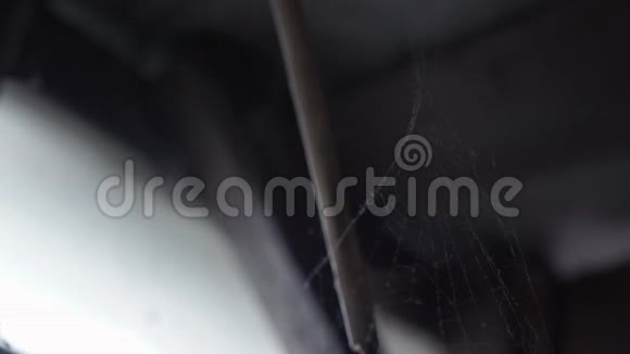 壁橱里的蜘蛛网视频的预览图