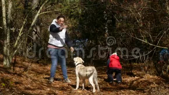 一个女人正在森林里训练一只狗视频的预览图