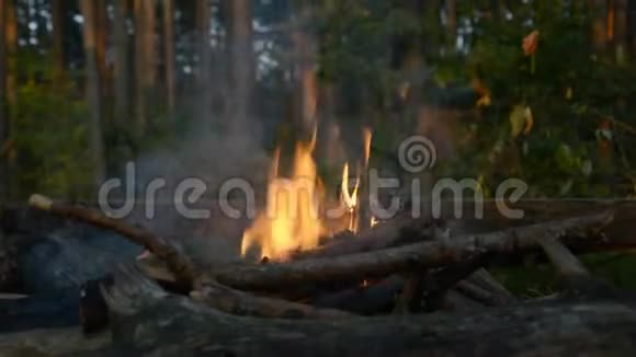 野餐的晚火火焰健康的夏季户外娱乐理念视频的预览图