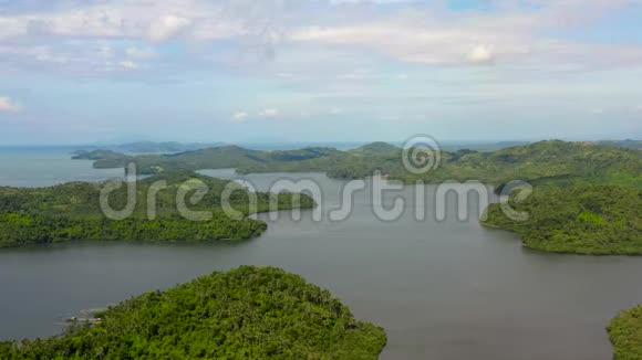 椰子棕榈林和海水海湾景观带青山绿水鸟瞰视频的预览图