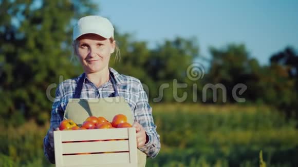 一个女农民带着一盒西红柿的肖像新鲜蔬菜概念视频的预览图