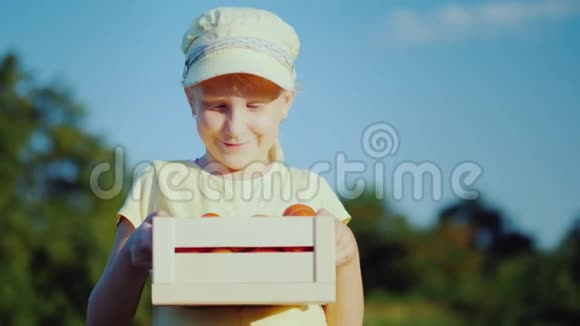 儿童农民的肖像女孩站在田野上拿着一个小盒子里面放着西红柿视频的预览图