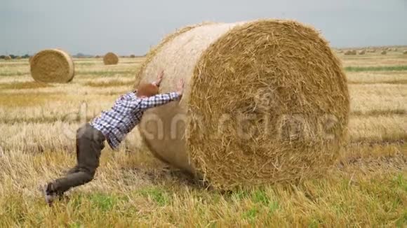 一个小男孩在一个夏天的傍晚在麦田中央推着一捆稻草视频的预览图