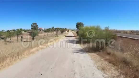 一条通往坎帕纳里奥的土路视频的预览图
