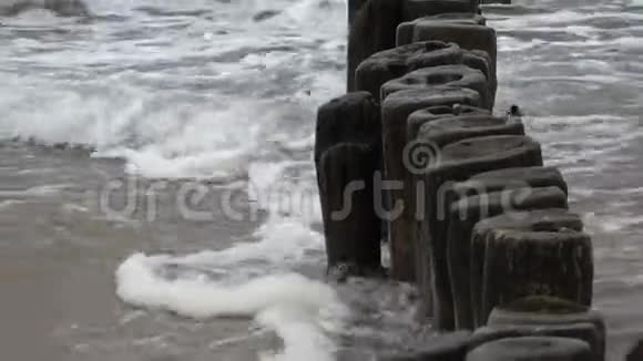 破旧的木柱在海滩和海浪上成堆放大视频的预览图