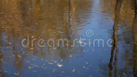 秋天落叶的湖渔民漂浮在湖里平静的水水上有小圆圈视频的预览图