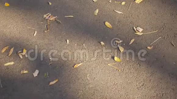 人行道上秋天的黄叶他脚下的悲伤表情视频的预览图