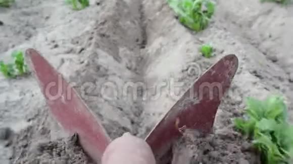 犁铧犁山农场土豆视频的预览图