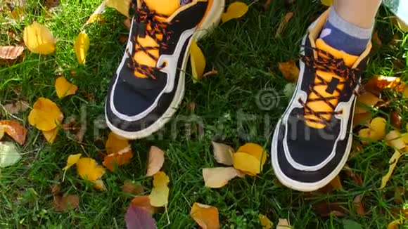 绿色草地和黄色秋叶背景上的时髦运动鞋视频的预览图