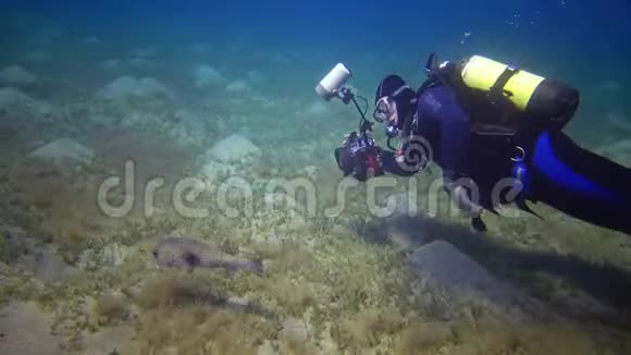 埃及阿布达布2019年5月30日摄影师拍摄像一条鱼在白天慢慢游过沙底视频的预览图
