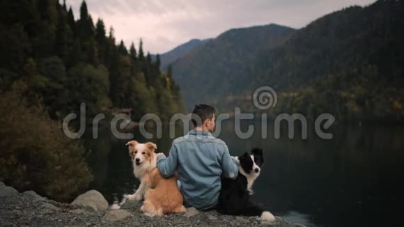 年轻时尚的白种人宠物与两只边境牧羊犬在湖上户外享受山景旅费视频的预览图