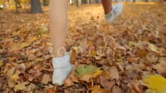 漫步在秋天的公园里鞋子踩着落叶视频的预览图