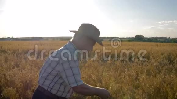 农民商人戴着牛仔帽在田里检查谷物作物的成熟情况视频的预览图