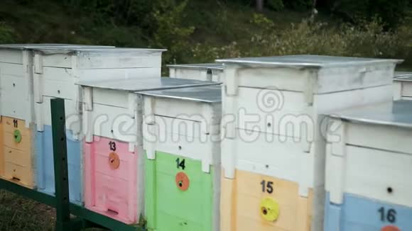 许多彩色蜂箱蓝色粉红色黄色绿色橙色编号视频的预览图
