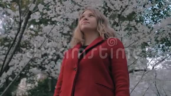 常平架steadicam拍摄的一个穿着红色外套的漂亮金发女孩站在樱花巷享受着视频的预览图