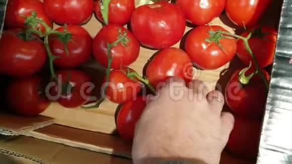 在超市买蔬菜男人看起来不新鲜的西红柿视频的预览图