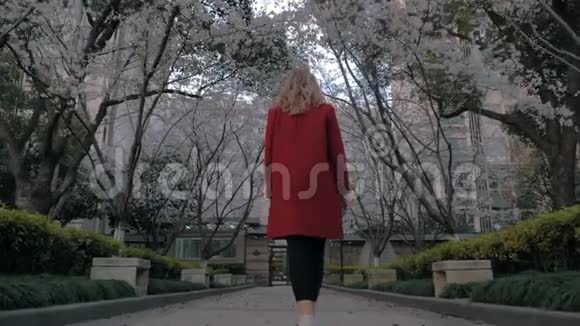 美丽的金发女郎穿着红色外套走在樱花巷着盛开的树木的芬芳视频的预览图