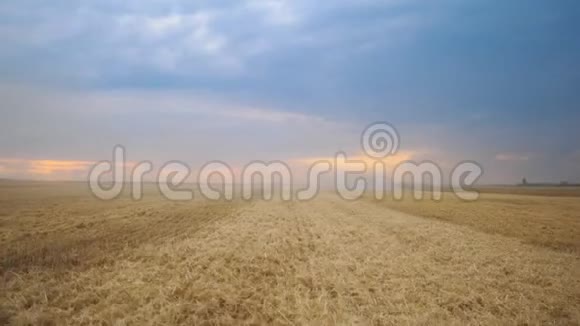在黄昏收集小麦后在空旷的田野上看到美丽的景色风景优美的自然景观收获概念视频的预览图